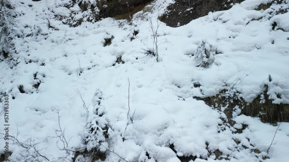 the alps in winter with trees and rocks standing on a mountain and covered with snow videographed with a drone from a bird's eye view during the day in bright sunshine at the Nesselwang waterfall the alps in winter with trees and rocks standing on a mountain and covered with snow videographed with a drone from a bird's eye view during the day in bright sunshine at the Nesselwang waterfall
