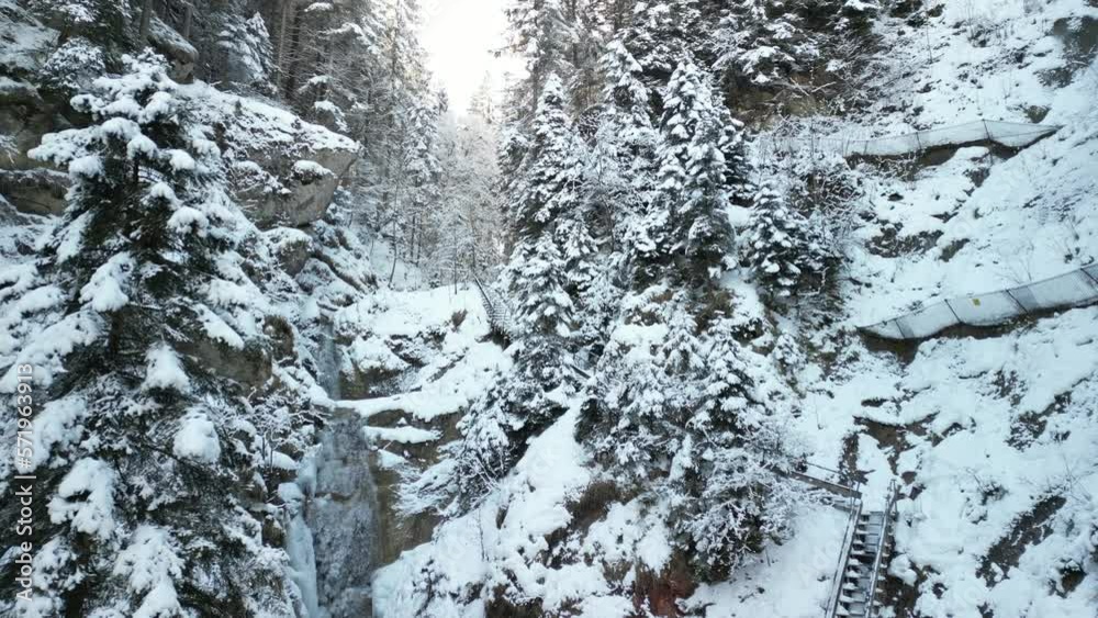 the alps in winter with trees standing on a mountain and covered with snow videographed with a drone from a bird's eye view during the day in bright sunshine in the south of germany the alps in winter with trees standing on a mountain and covered with snow videographed with a drone from a bird's eye view during the day in bright sunshine in the south of germany