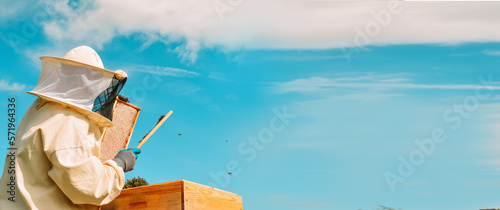 Banner. A beekeeper in a protective suit and gloves shakes bees with a brush from a honey frame against a background of green bushes and blue sky. Eco apiary in nature. Pumping out honey. Beekeeping