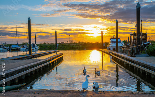 Stevensweert,Südholland, Provinz Limburg photo