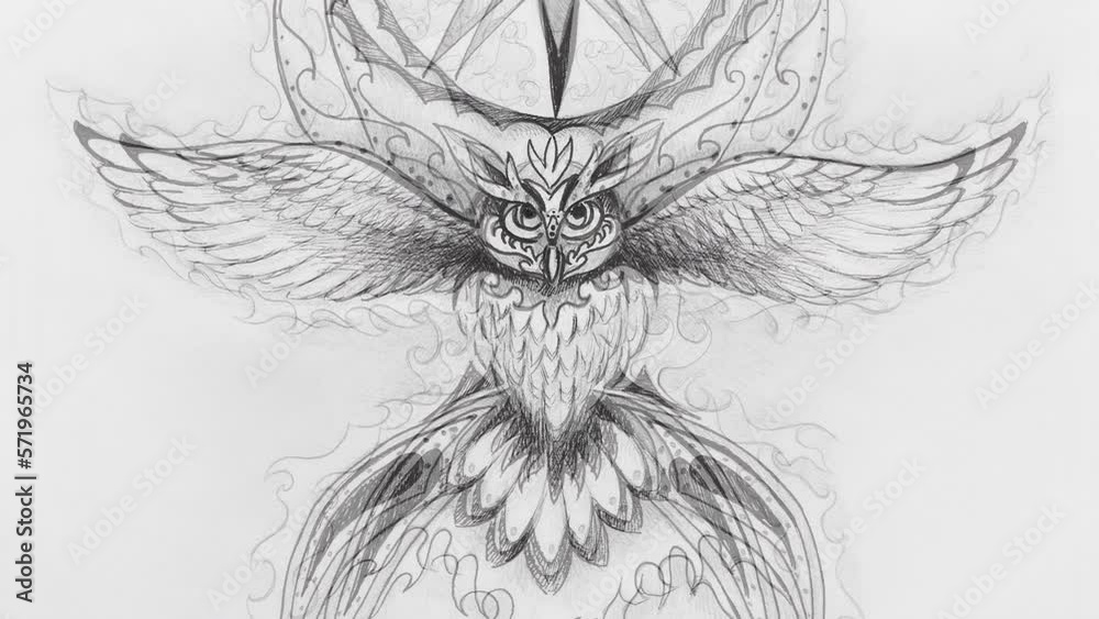 ornamental drawing of sacred owl spirit. Loop Animation