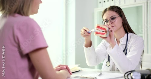Wallpaper Mural Dentist shows model of jaw to properly care for teeth and oral cavity Torontodigital.ca