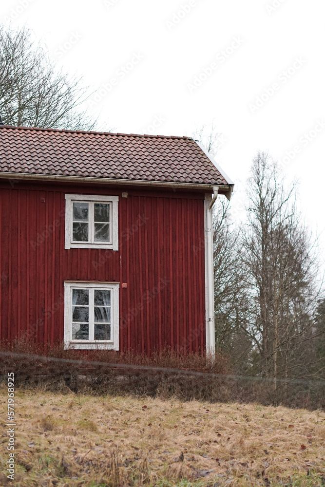 Obraz premium Typical red wooden house in foggy weather at the end of Winter in the countryside area of Sweden