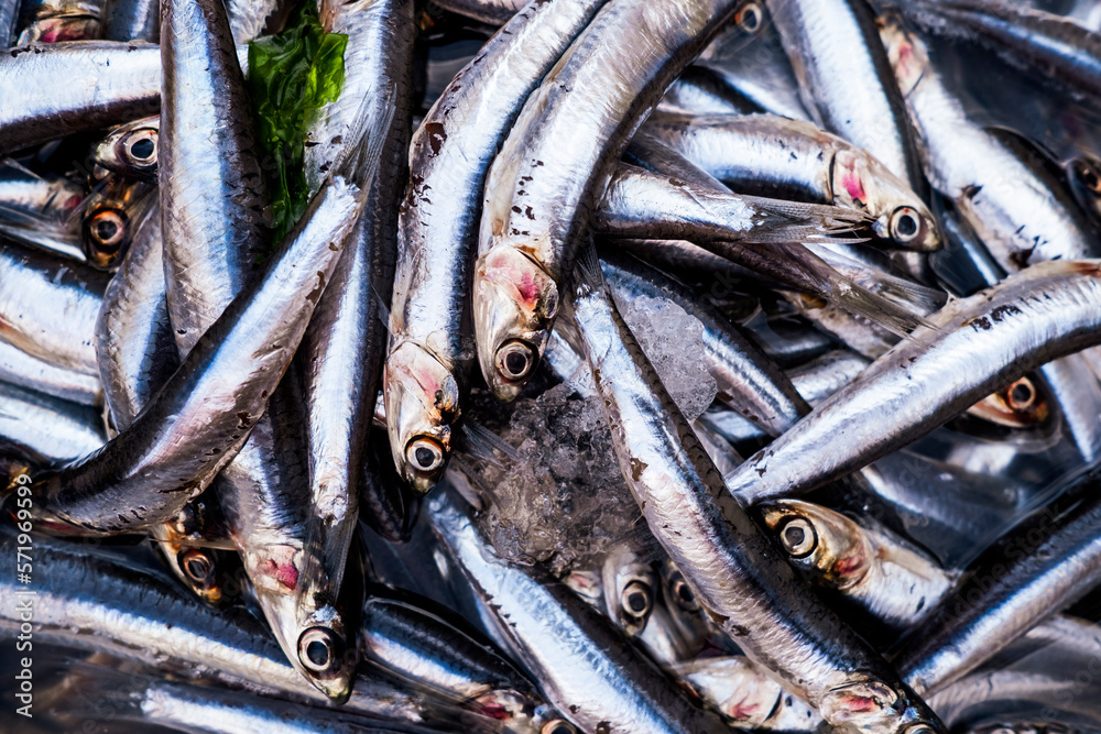 Obraz premium Details of fresh fish market in napoli 