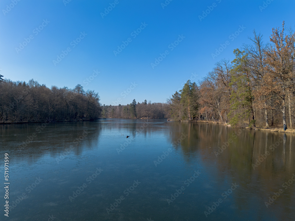 View of a frozen forest lake on a sunny winter day with reflections
