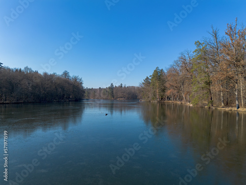 View of a frozen forest lake on a sunny winter day with reflections