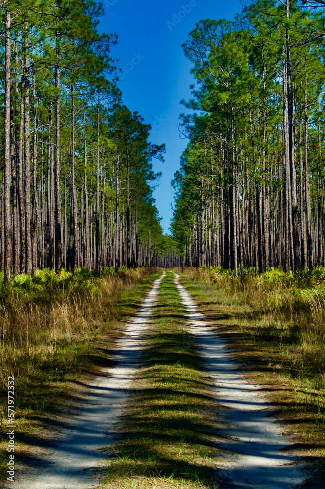Taking the long way home Taking the long way home