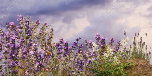   wild flowers  lavender  field on horizon romantic young people  walk   cloudy sky and rainbow nature landscape  impressionism painting  generated ai