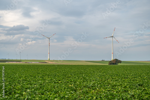 Wind Park withs lots of modern renewable energy wind turbines, agricultural field in front, cloudy day photo