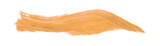 Orange apricot brush isolated on transparent background. Orange brush, golden apricot, png