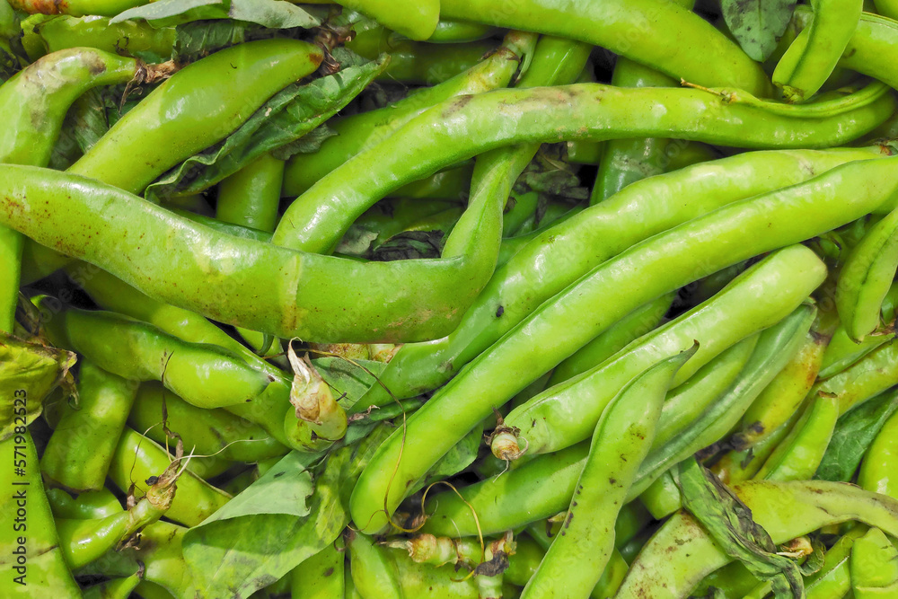 Sstack of fava beans in a market stall