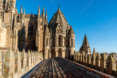 View of the roofs and dome of the Old Cathedral of Salamanca a blue sky day. Castilla y Leon, Spain