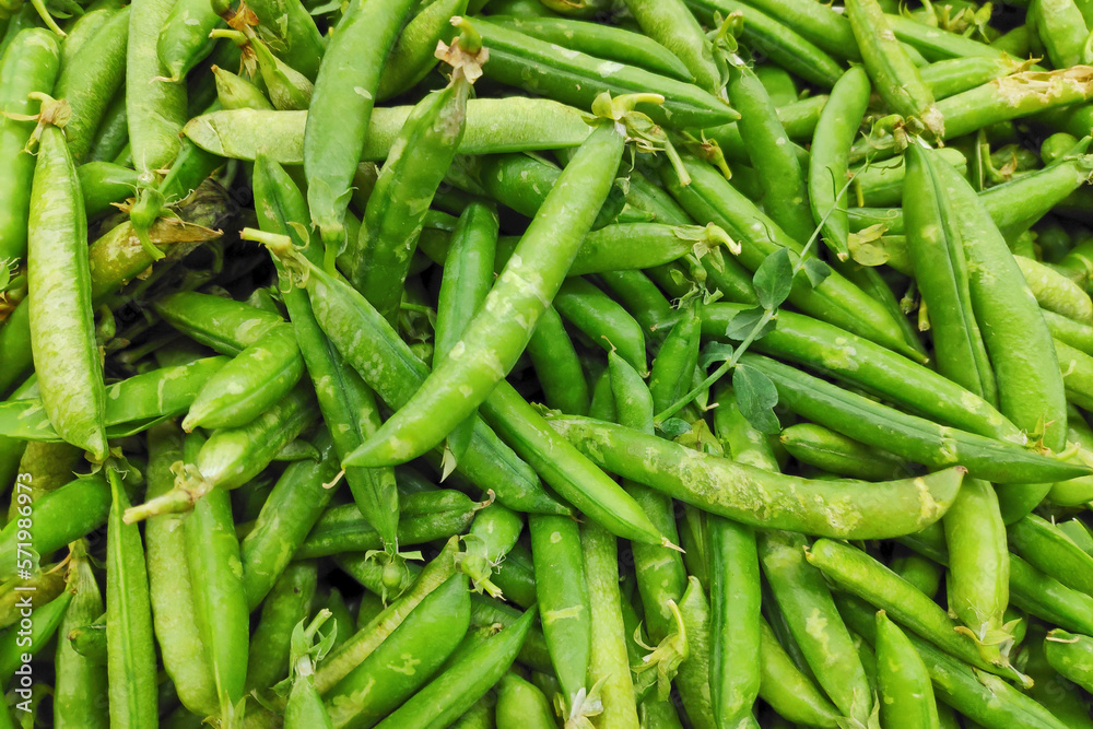 Stack of green peas in their pods on a market stall Stack of green peas in their pods on a market stall
