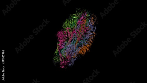 Cryo-EM structure of Yersinia pseudotuberculosis TcaA-TcaB. Animated 3D cartoon and Gaussian surface models, PDB 6rwb, black background photo