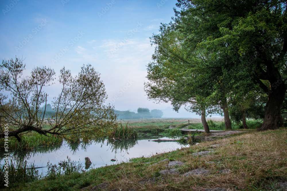 Meadow and river Goryn are located in Ukraine, Rivne region.