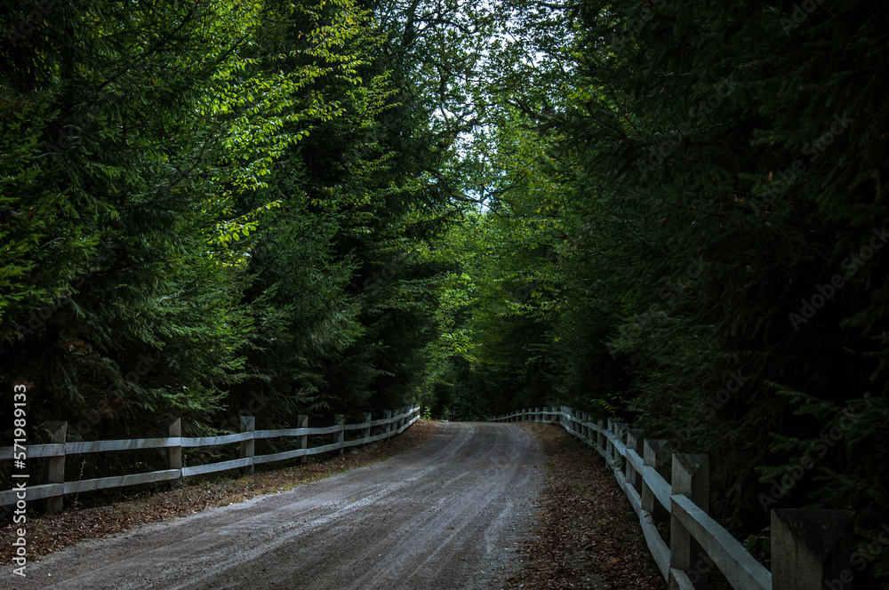 Fototapeta premium Nadsluchanskiy Regional Landscape Park is a protected area in the Bereznivsky district of Rivne region. Located in the valley of the river Sluch.