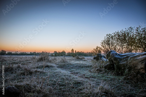 A frosty dawn on a meadow near the Horyn River.