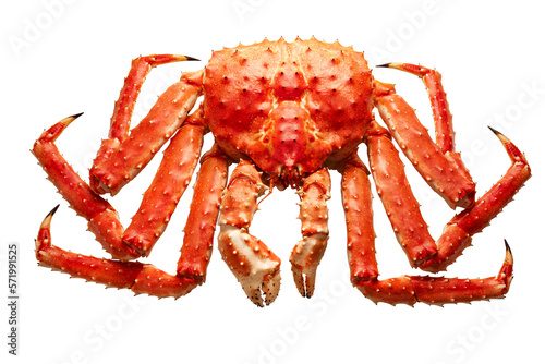 Large red kamchatsky king crab isolated on a transparent background photo