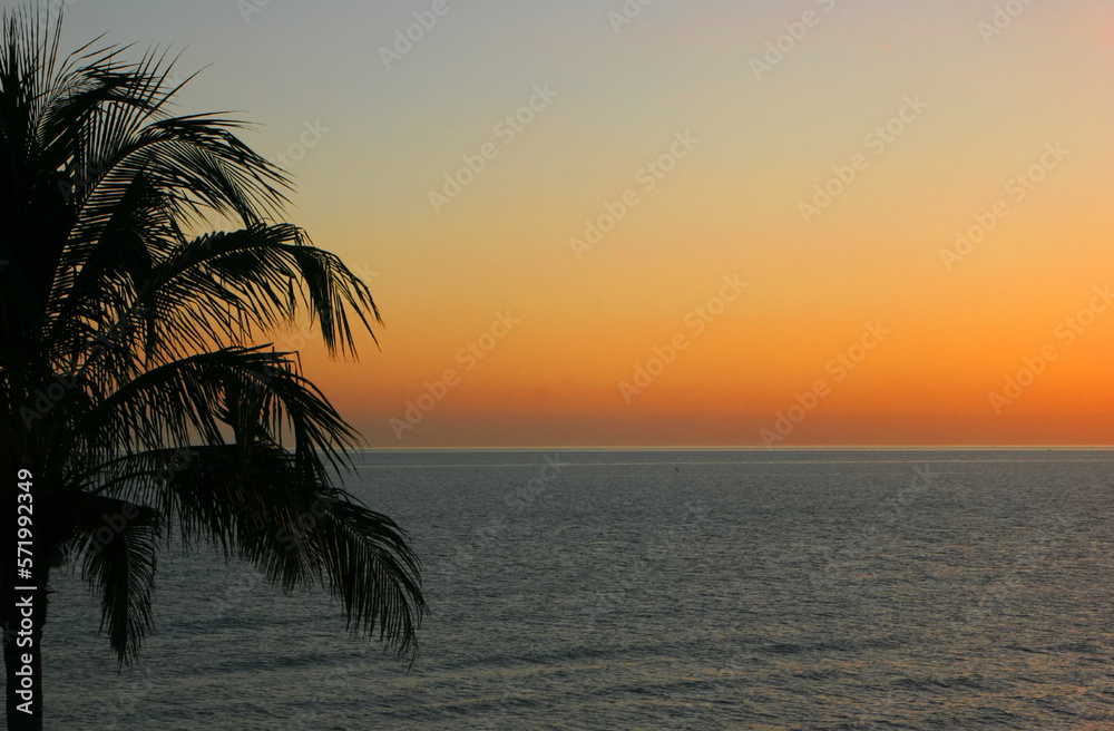 Palm Tree Ocean Sunset on Sanibel Island Florida