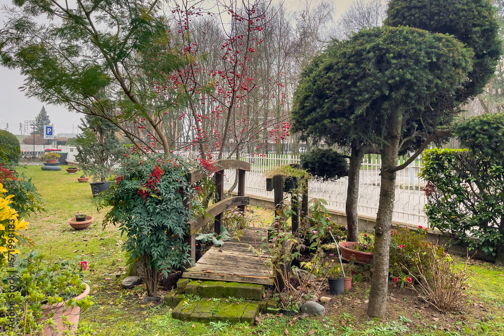 Small beautiful garden outside a house in Novara, Italy Small beautiful garden outside a house in Novara, Italy