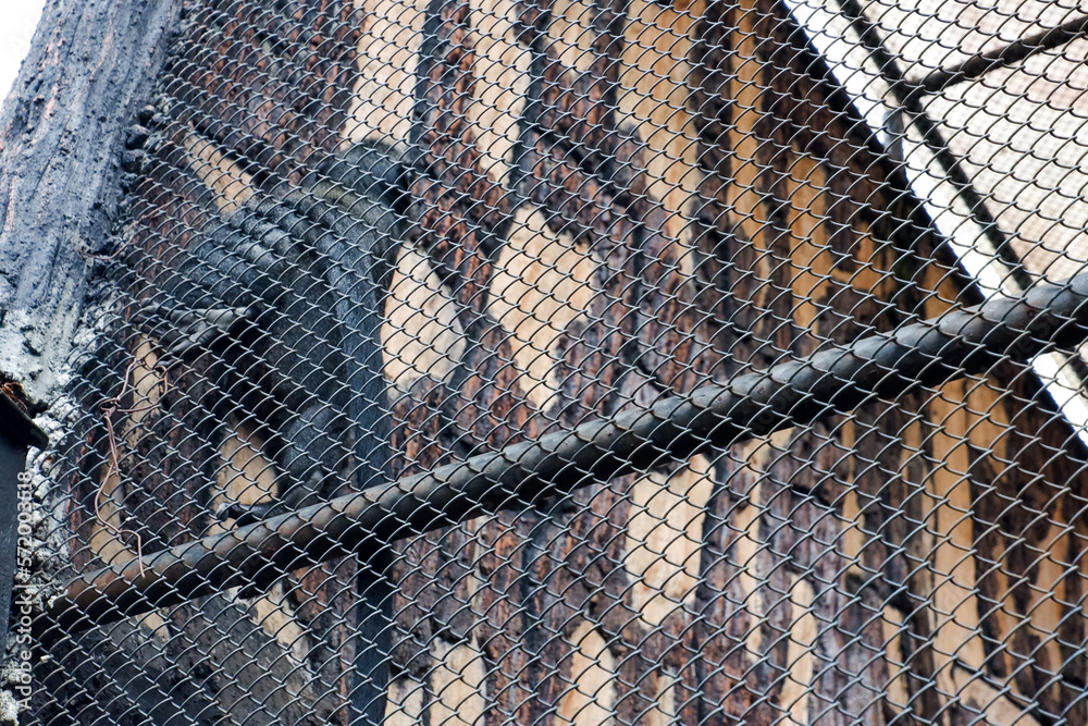Selective focus of long-tailed monkeys dangling in their cages.