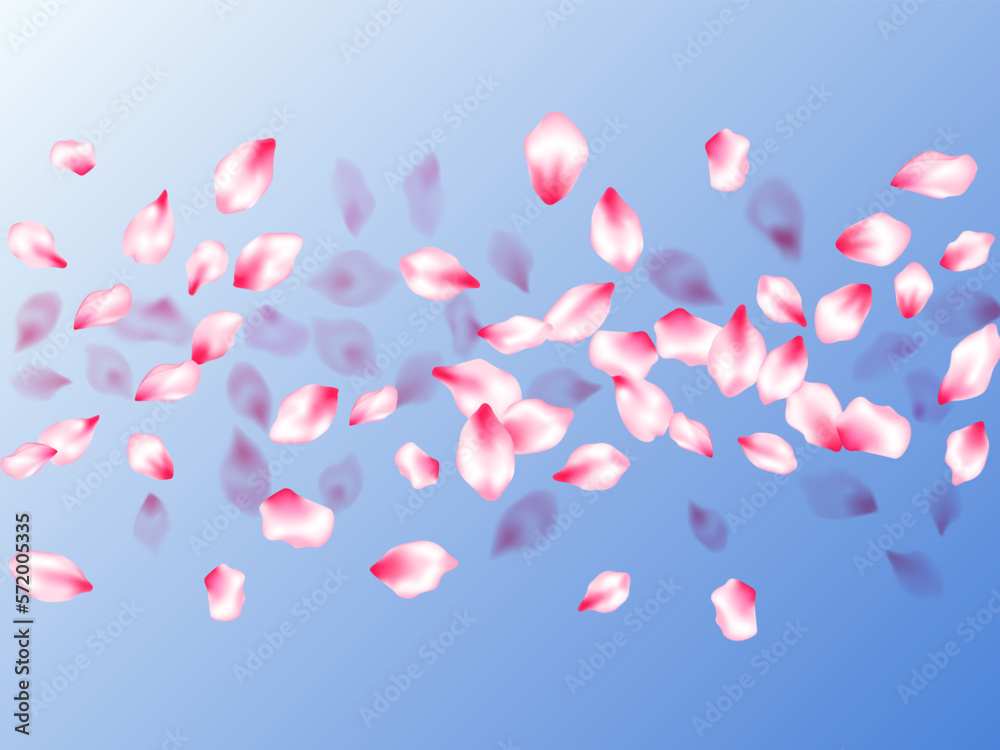 Spring tree flowers parts, airy flying petals Spring tree flowers parts, airy flying petals