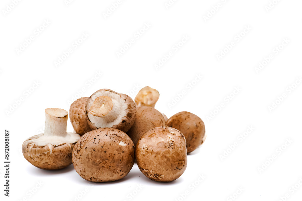 Fresh champignon mushrooms isolated on white.