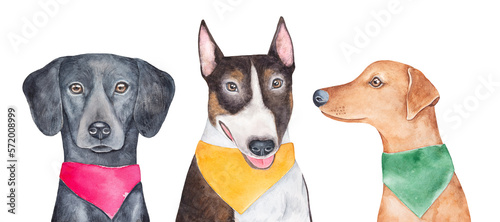 Tableau sur toile Watercolour illustration set of three different dogs in colorful bright dog bandanas: Flat-Coated Retriever in pink, Bull Terrier in yellow, German Pinscher in green