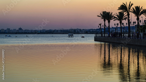 Palmiers en bord de mer au crépuscule © PPJ