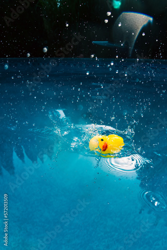 Fotografie Yellow rubber duck plunging into swimming pool splashing water