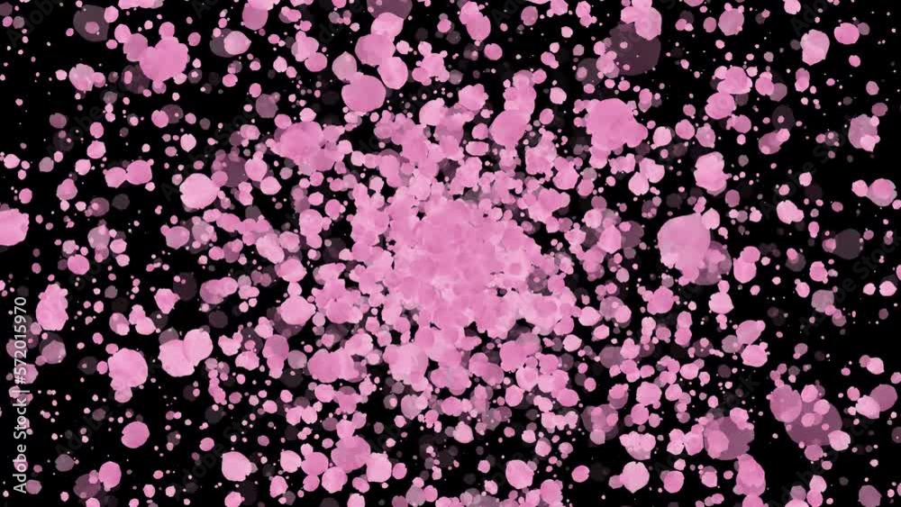 Pink cherry blossoms explosion. Spring overlay. Isolated natural flowers. Easter. Black screen. 59,94fps Pink cherry blossoms explosion. Spring overlay. Isolated natural flowers. Easter. Black screen. 59,94fps