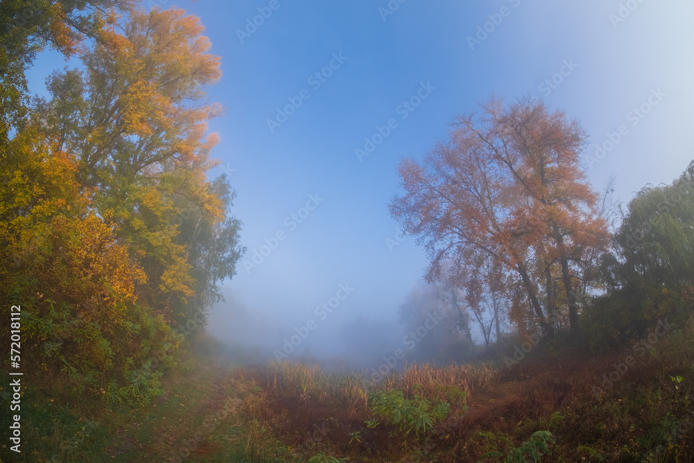 autumn in the park