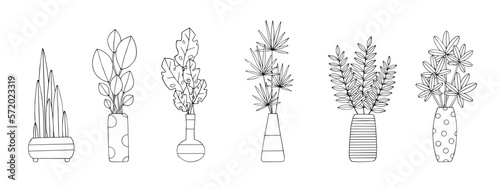Linear sketch, coloring of indoor plants, flowers in a pot. Vector graphics.	
