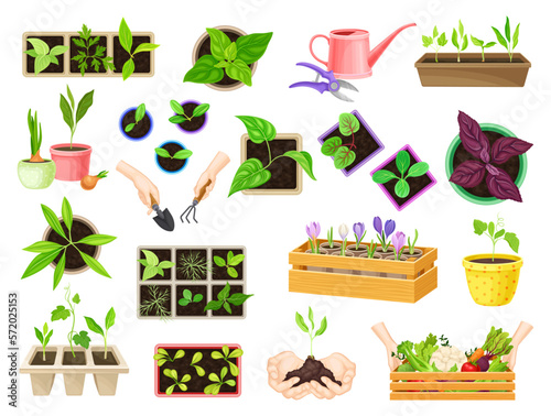 Seedlings with Hand Cultivating Soil Planting in Ground Big Vector Set