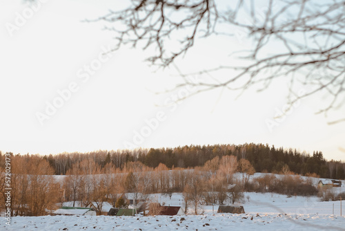 Wallpaper Mural Rural beautiful winter landscape. Non-urban scene. New Year, Christmas. Picturesque view of countryside on a frosty winter day Torontodigital.ca