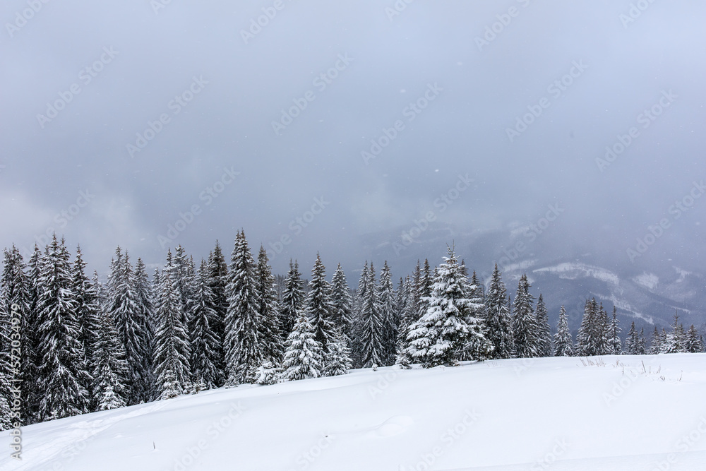 Fototapeta premium View of Carpathian mountains on cloudy day, Ukraine. It is snowing
