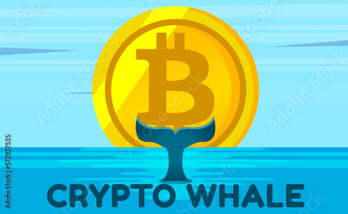 Cartoon vector flat design illustration of whale with bitcoin blockchain and NFT token. Bitcoin whale illustration with whale tail in ocean. Big investor, trader in cryptocurrency market. 