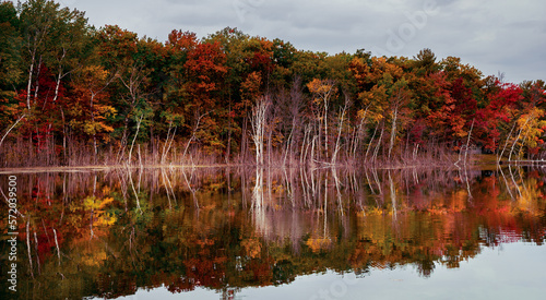 A Wide Autumn Landscape with Tree Reflection