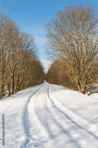 A snowy forest road between trees goes into the distance. Sunny winter day. Nature landscape background.