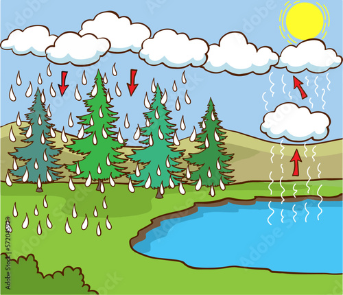 Rain drop formation in a science diagram. How rain forms as warm air rises and condenses. Rain droplets collide and grow.carton vector 