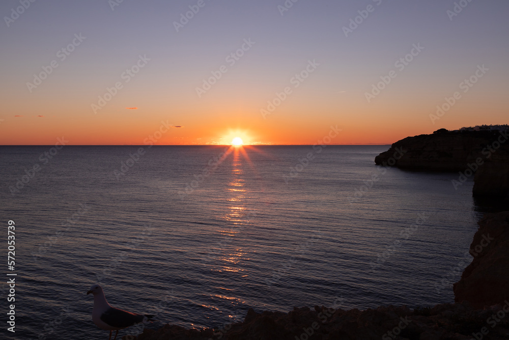 Superb landscape of a seagull on a rock in the Algarve coast - Portugal at sunset