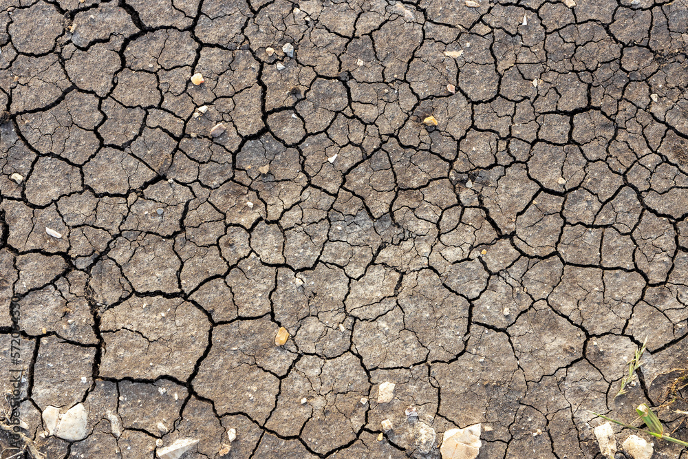 Nature background of cracked dry lands. Natural texture of soil with cracks. Broken clay surface of barren dryland wasteland close-up. Full frame to terrain with arid climate. Lifeless desert on earth Nature background of cracked dry lands. Natural texture of soil with cracks. Broken clay surface of barren dryland wasteland close-up. Full frame to terrain with arid climate. Lifeless desert on earth