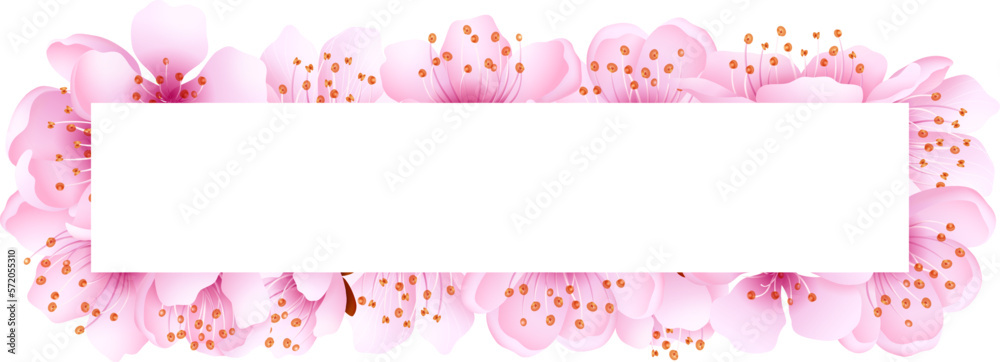 Sakura frame. Japanese pink petal blossom border