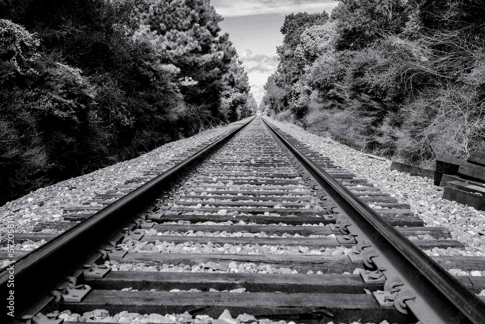 Railroad tracks through the trees in Black and white