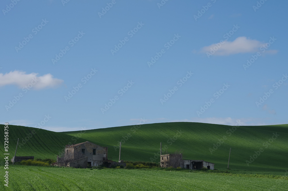 Spring in the countryside of lower Molise with the wheat still green, an old farmhouse, blue sky and some clouds to complete the scene