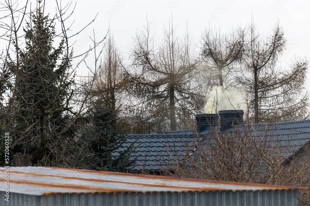 Toxic smoke flying from the chimney of a detached house. Combating smog from burning coal and waste Toxic smoke flying from the chimney of a detached house. Combating smog from burning coal and waste