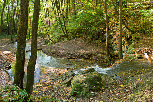Fototapeta Naklejka Na Ścianę i Meble -  a forest stream with a waterfall in an autumn forest