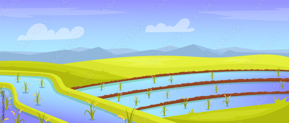 Rice field landscape. Farm with growing plants cartoon background