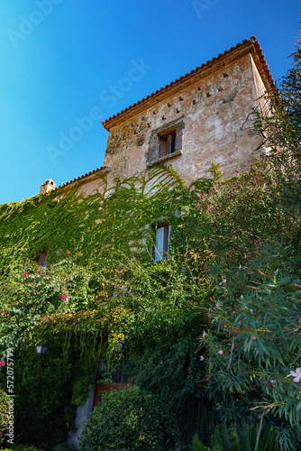 Beautiful medieval building surrounded by greenery.