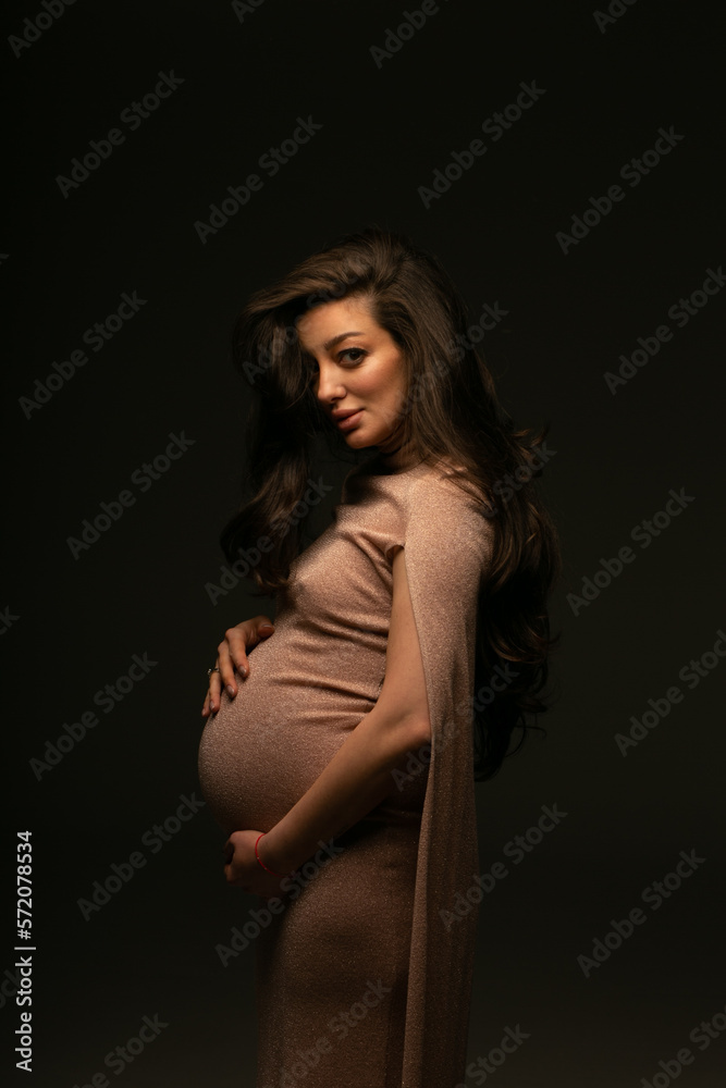 Fashion photo of a pregnant woman.Pregnancy, motherhood, preparation and waiting for childbirth Fashion photo of a pregnant woman.Pregnancy, motherhood, preparation and waiting for childbirth